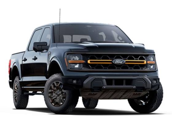 FORD F-150 5.0 V8 GASOLINA CD TREMOR FX4 AUTOMÁTICO
